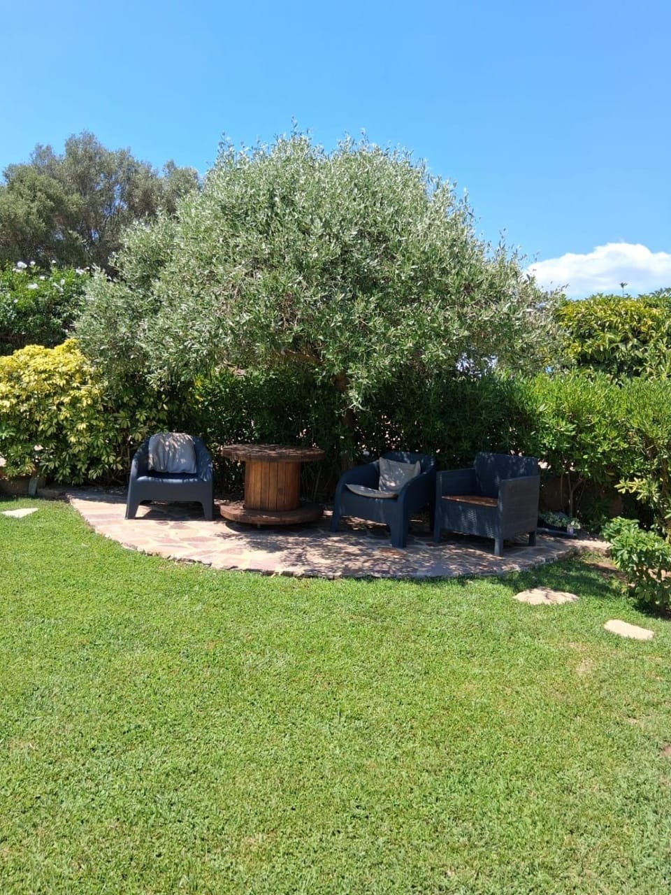 Spring, Day, Garden, Garden view