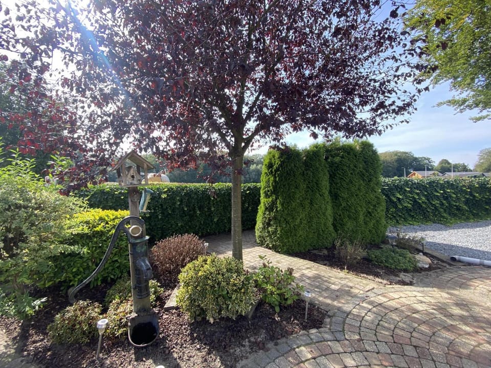 Summer, Garden