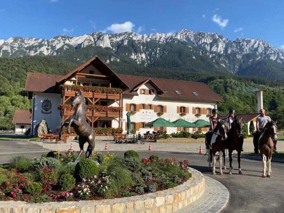 Property building, Horse-riding, group of guests