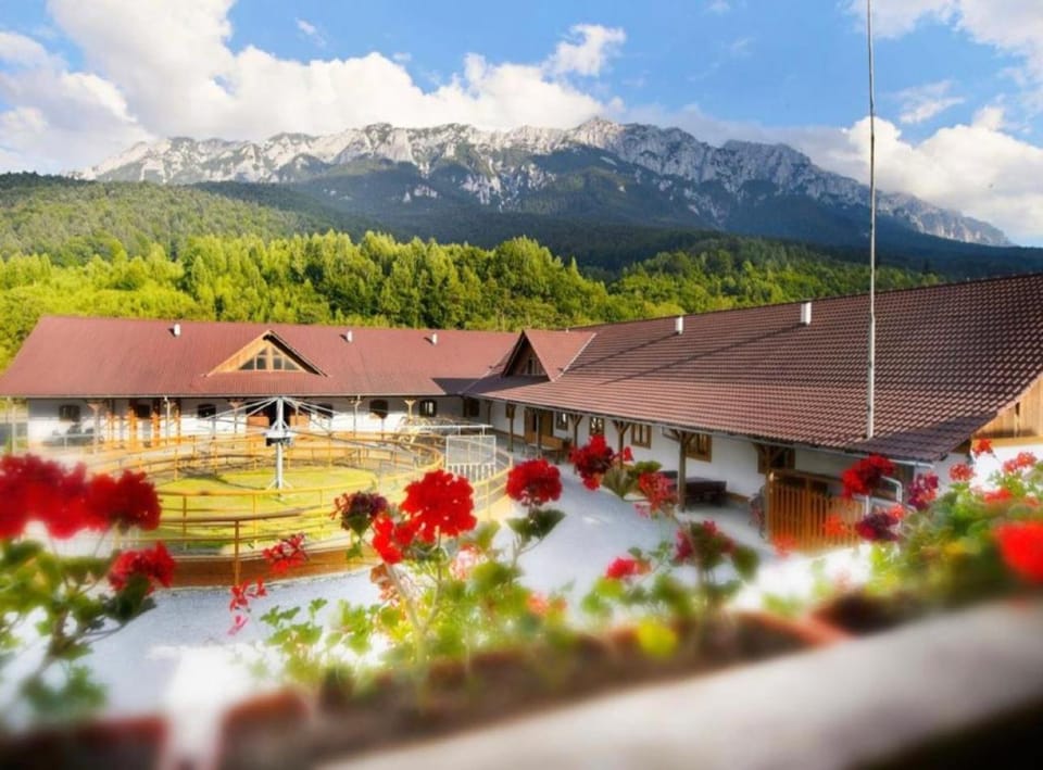 Natural landscape, Mountain view