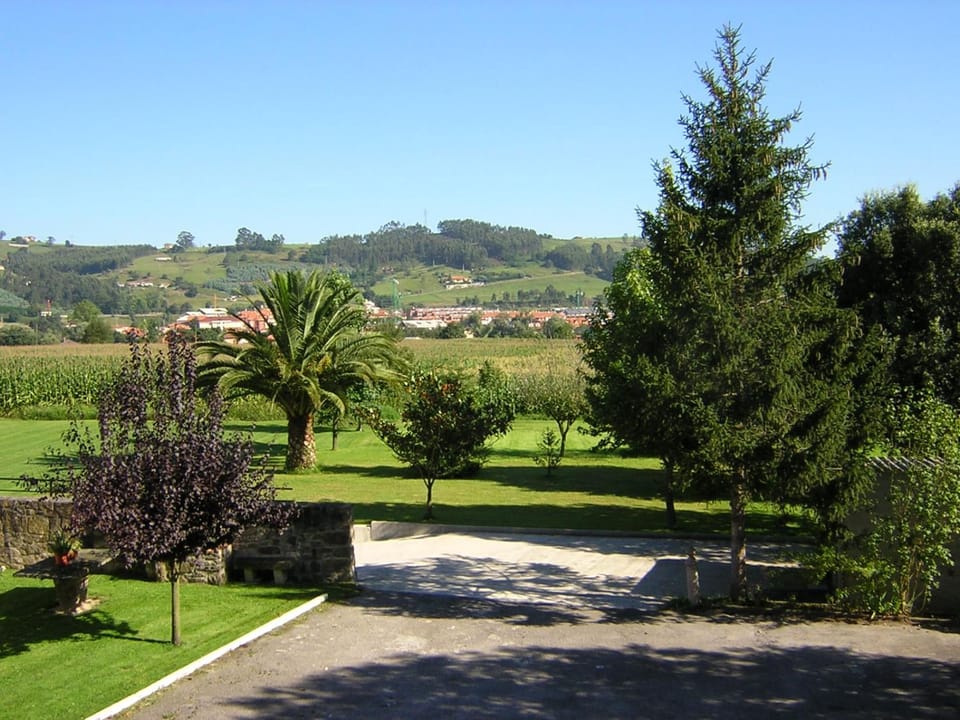 Day, Garden view