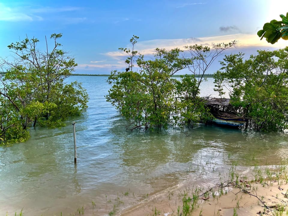 Beach, River view, Sea view