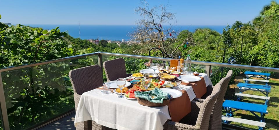 Balcony/Terrace, Food and drinks, Sea view, Breakfast, Continental breakfast, Dinner