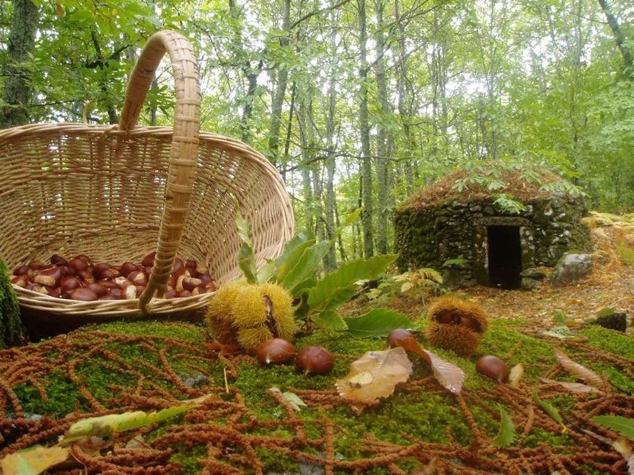 Natural landscape