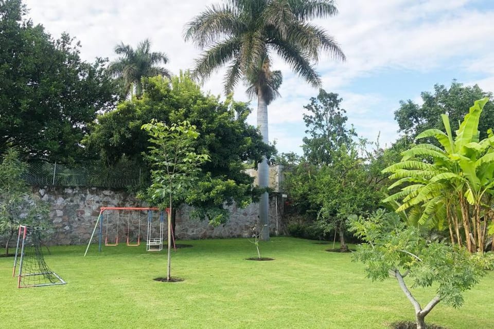 Children play ground, Garden, Garden view