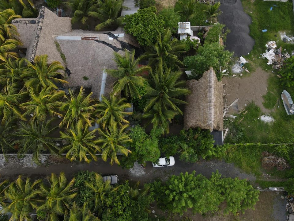Day, Natural landscape, Street view