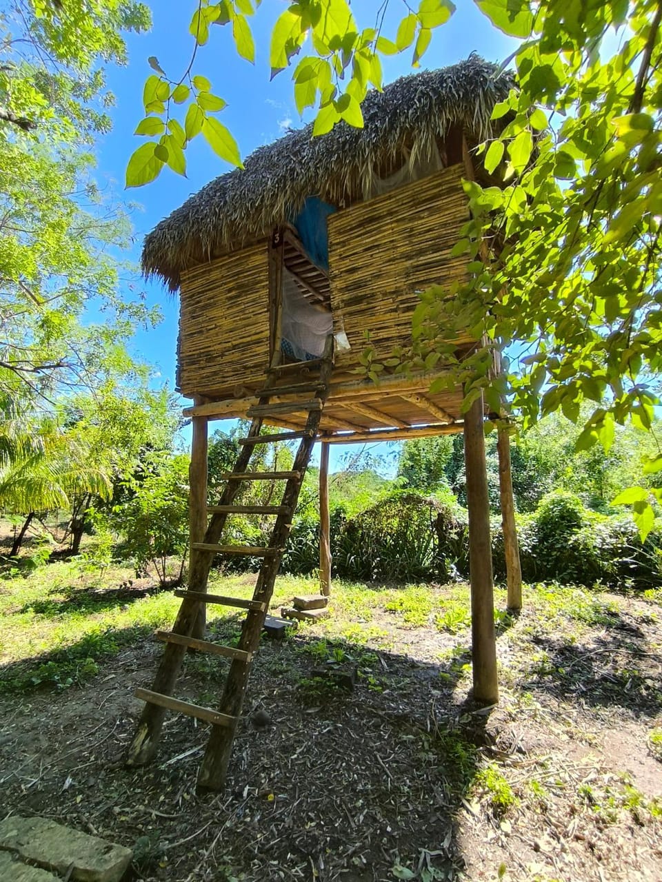 Bedroom, Garden view