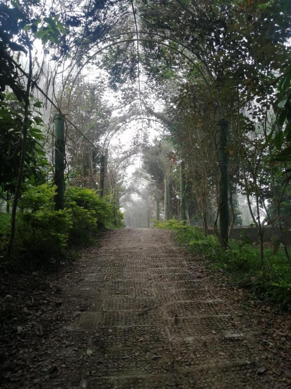 Natural landscape