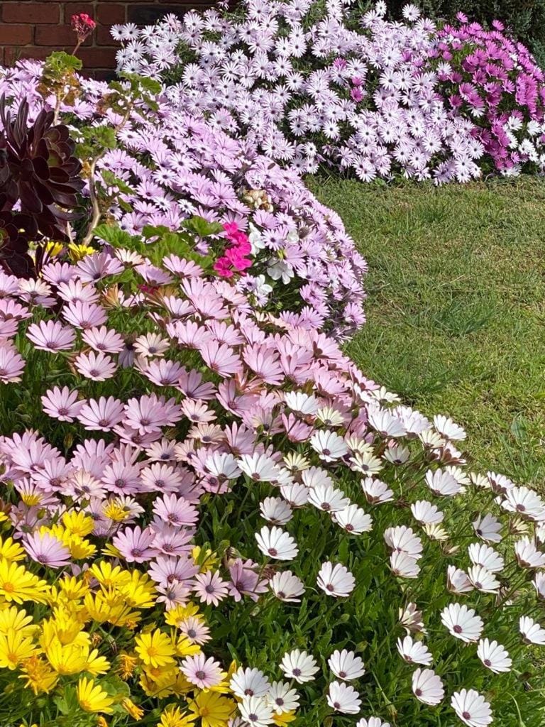 Spring, Day, Garden, Garden view