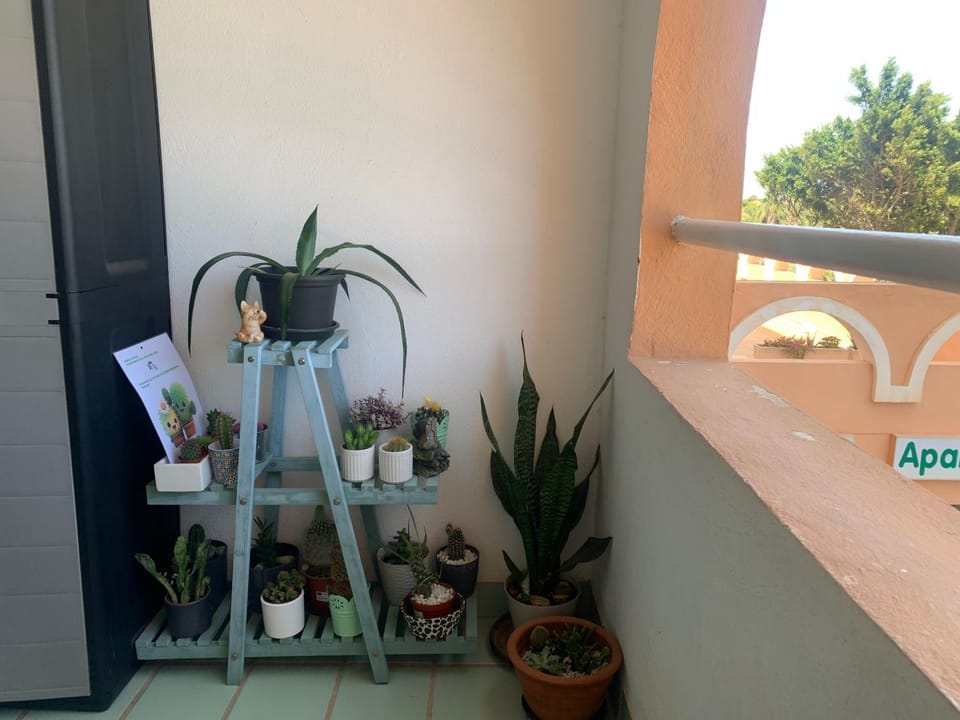 Estudio Roquetas Apartment in Roquetas de Mar