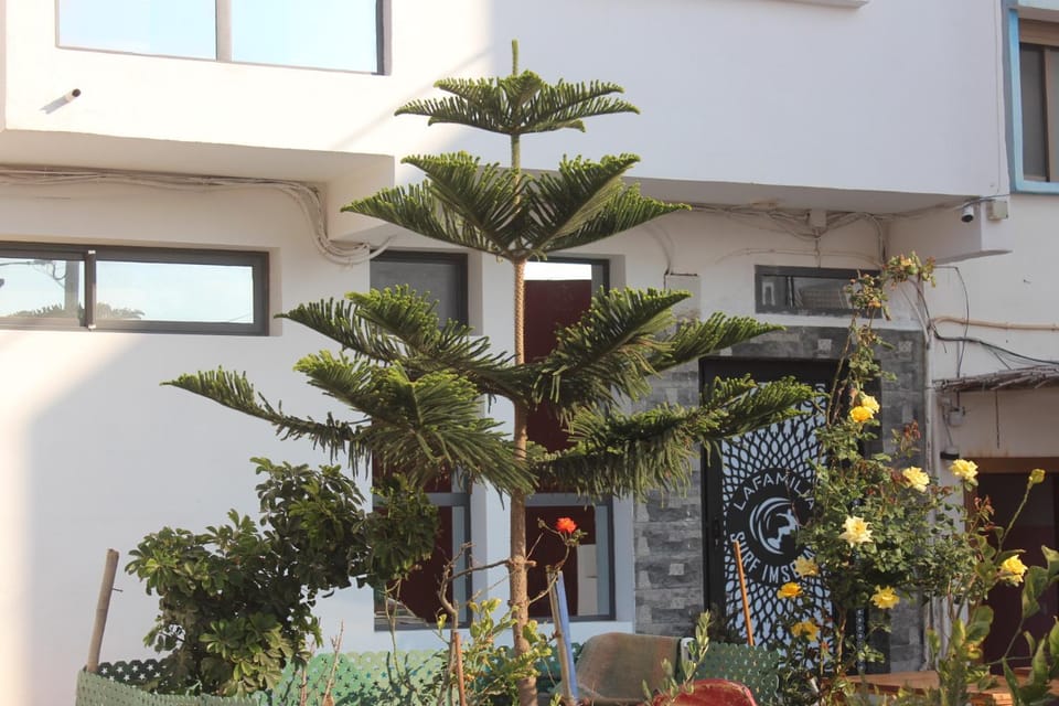 Property building, Garden, Garden view
