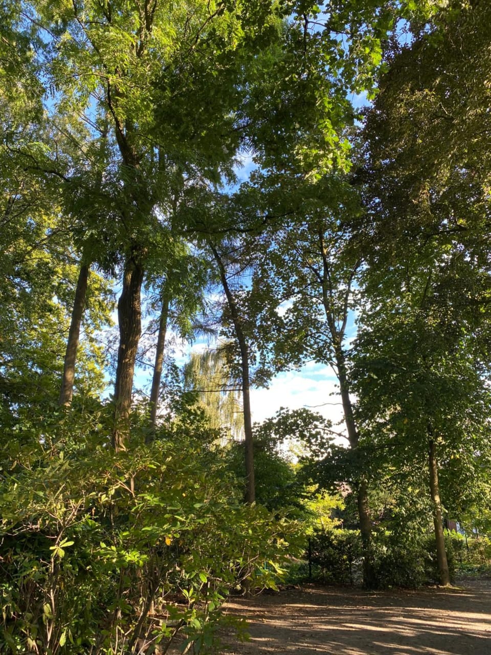 Natural landscape, Garden, Garden view