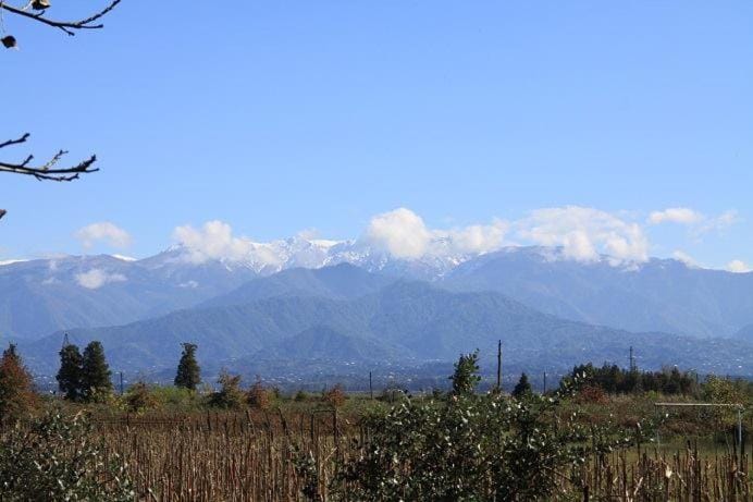 Day, Natural landscape, Mountain view