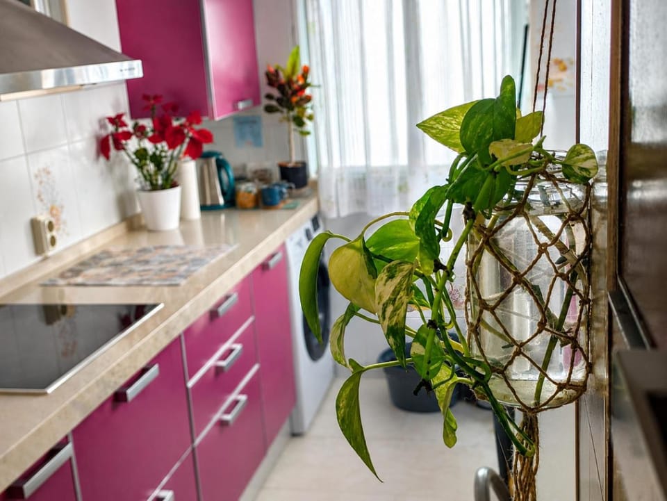 Habitación a 10 minutos de Cádiz con AC y aparcamiento Vacation rental in Costa de la Luz
