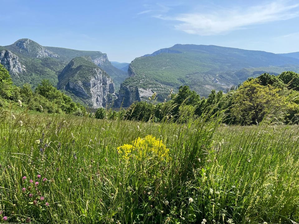 Domaine du Cruvelet Grand gite Bed and Breakfast in Verdon Gorge