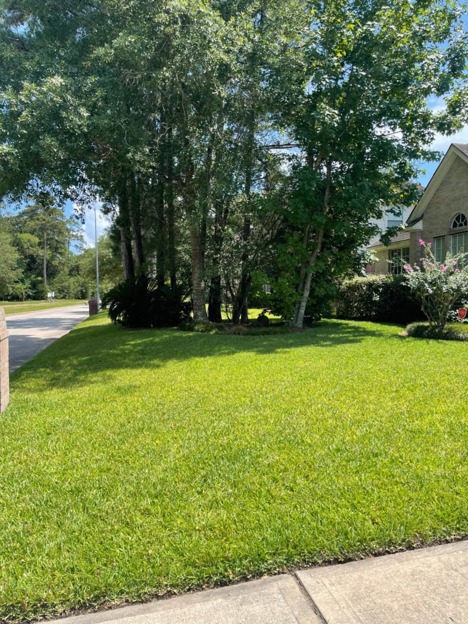 Unwind and Relax 4 Bedroom Stay House in Houston