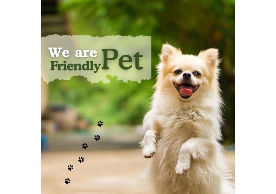 pet friendly