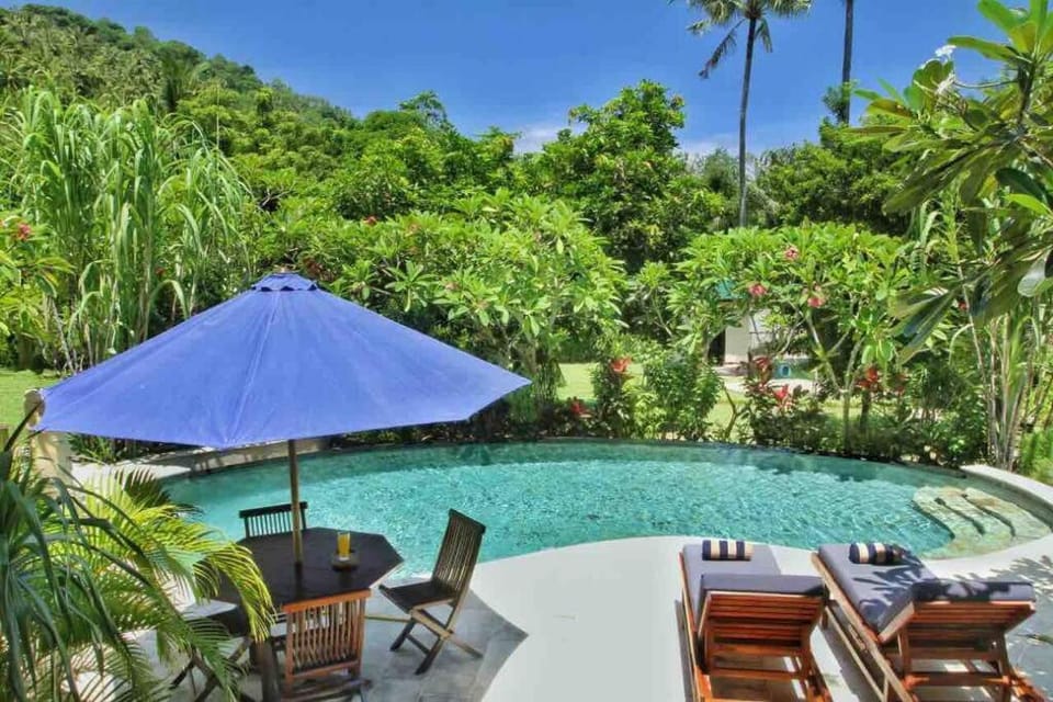 Day, Natural landscape, Garden, Pool view, Swimming pool