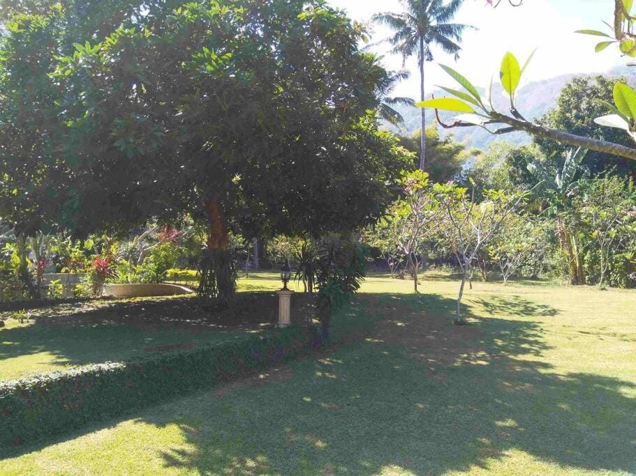Natural landscape, Garden