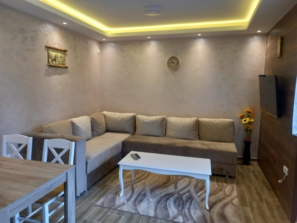Holiday Tara Apartment in Zlatibor District, Serbia
