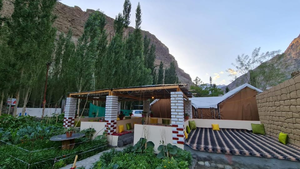 BORDER CAFE AND CAMPS TURTUK BY TRAVELCULTS Luxury tent in India