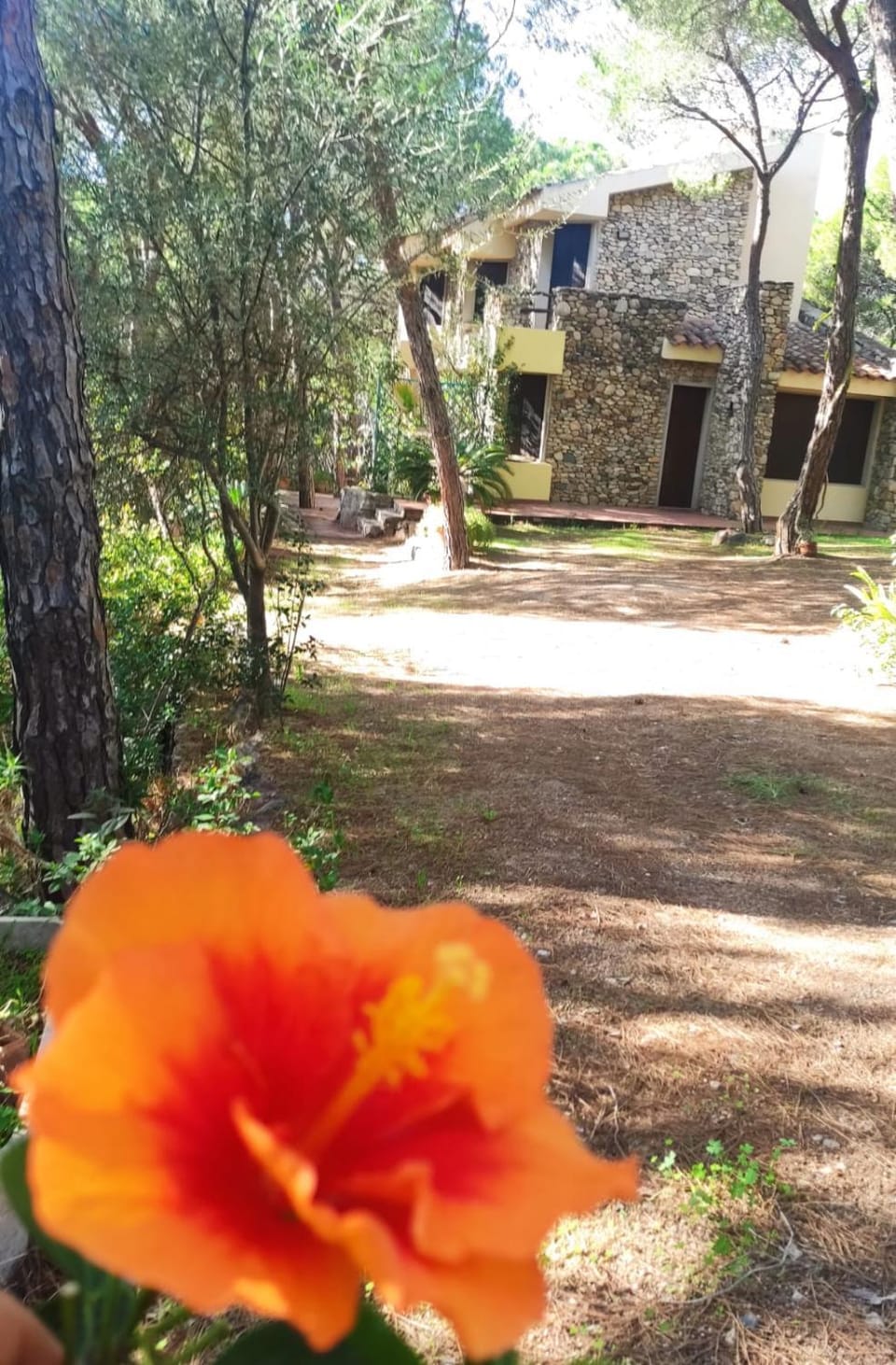 Garden view