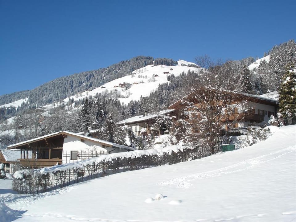 Appartement Bergblick Apartment in Salzburgerland