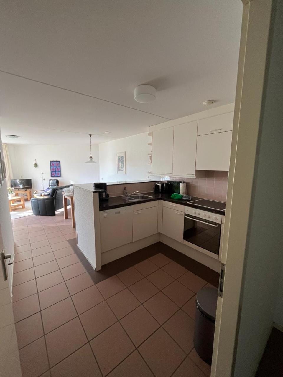 Libra 19 Apartment in Nes