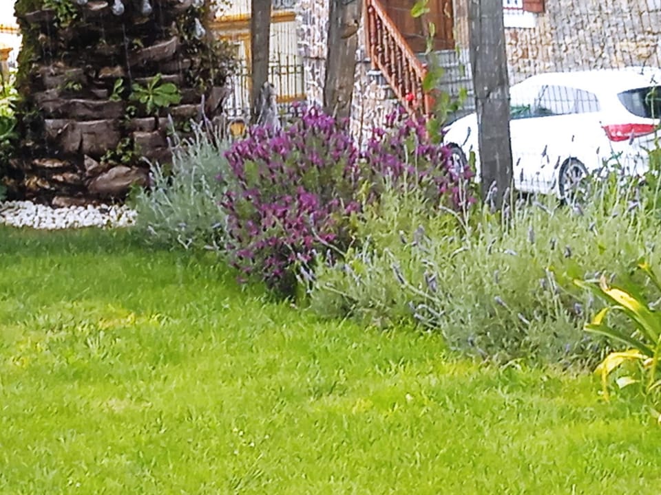 Garden, Garden view