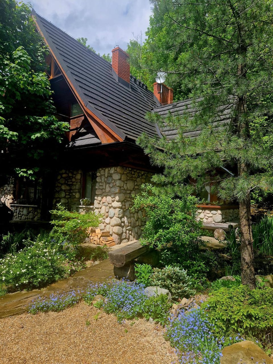 Garden view