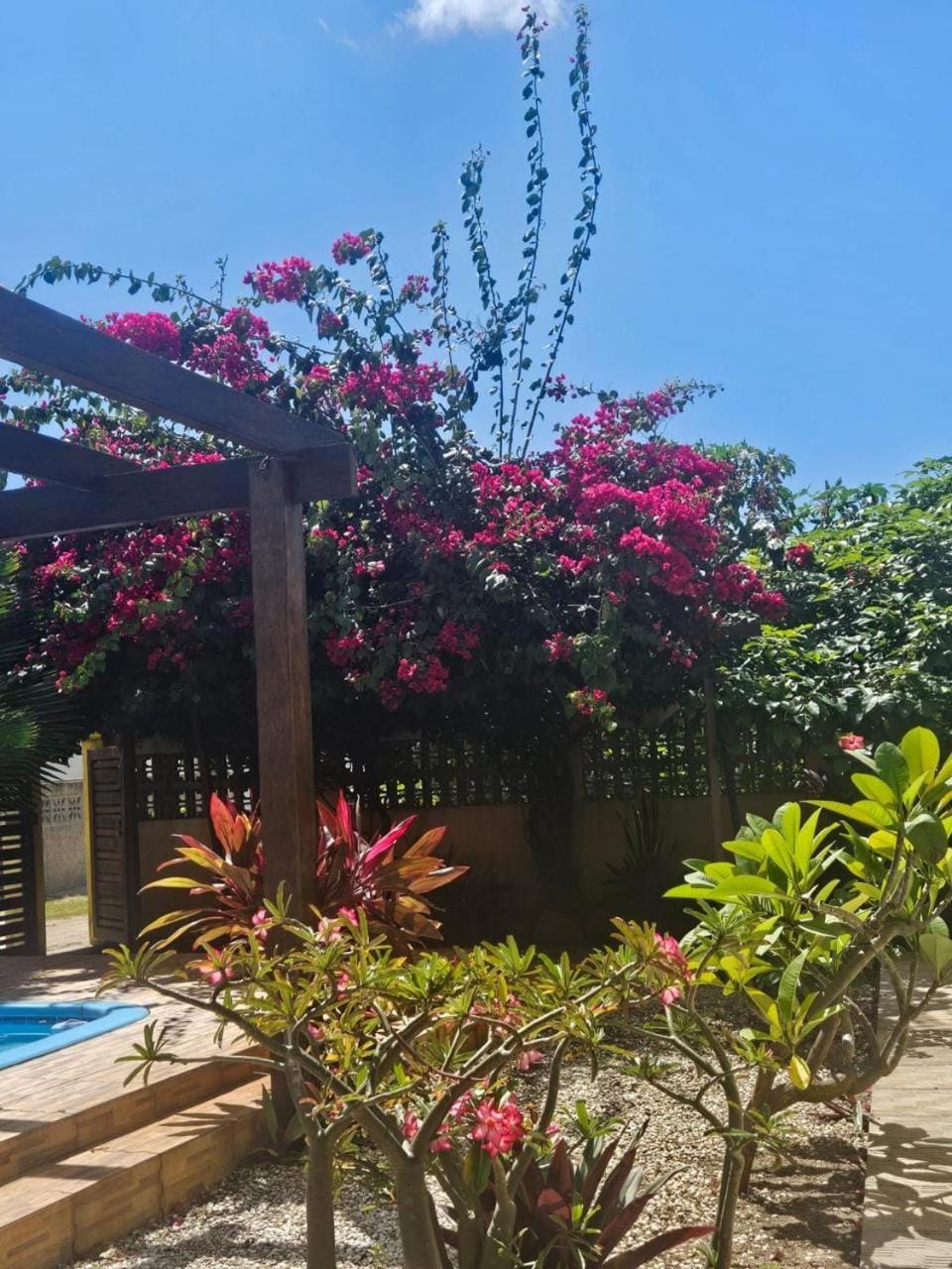 Pousada dos Sonhos Apartment in State of Paraíba, Brazil