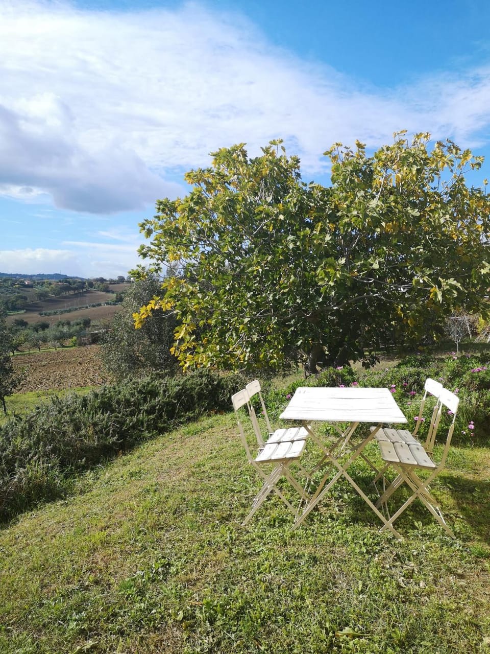 Garden, Garden view