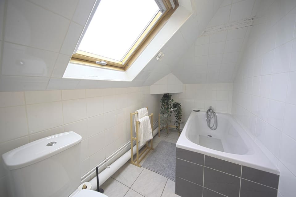 Toilet, Bathroom, Bath