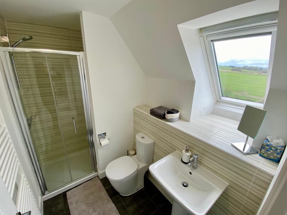 Shower, Toilet, Bathroom, towels