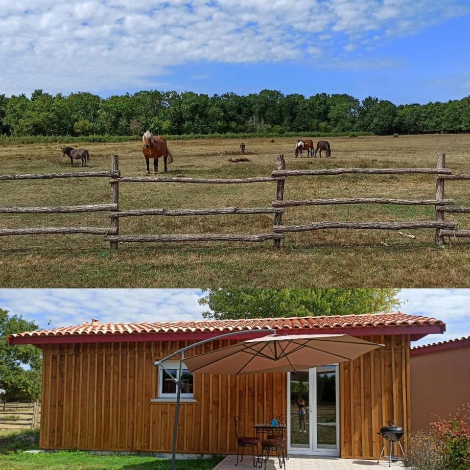 eco nature, gite à la ferme House in Vendays-Montalivet