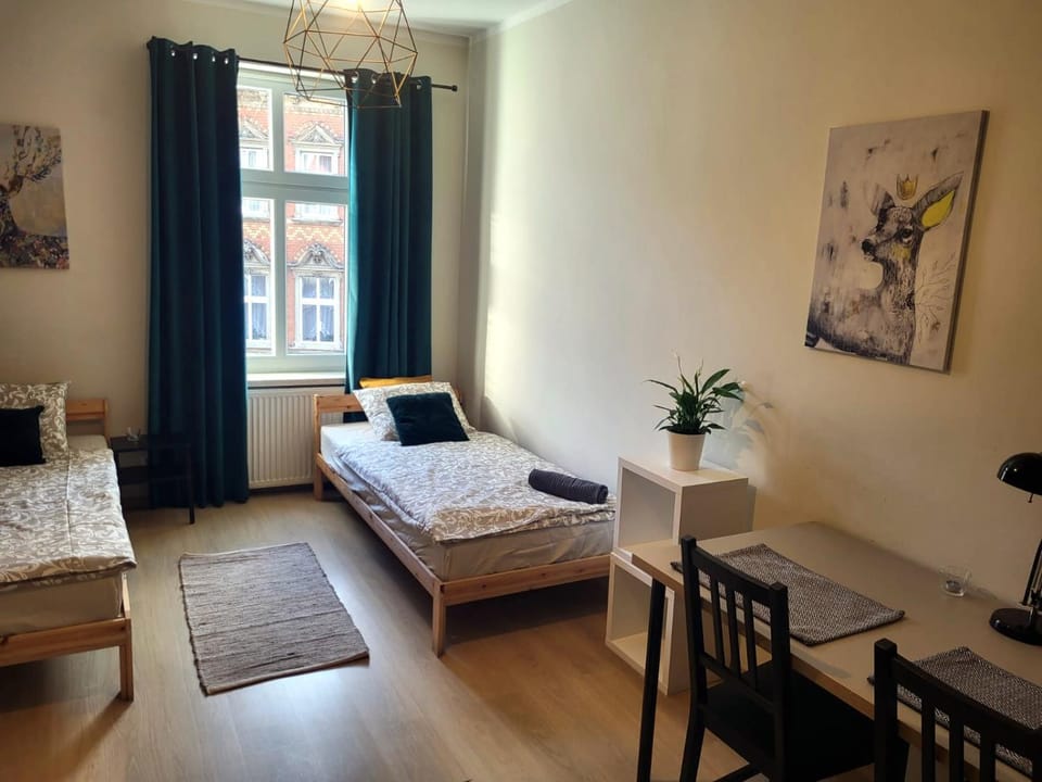 Lemuria Hostel Wrocławska centrum Hostel in Lower Silesian Voivodeship