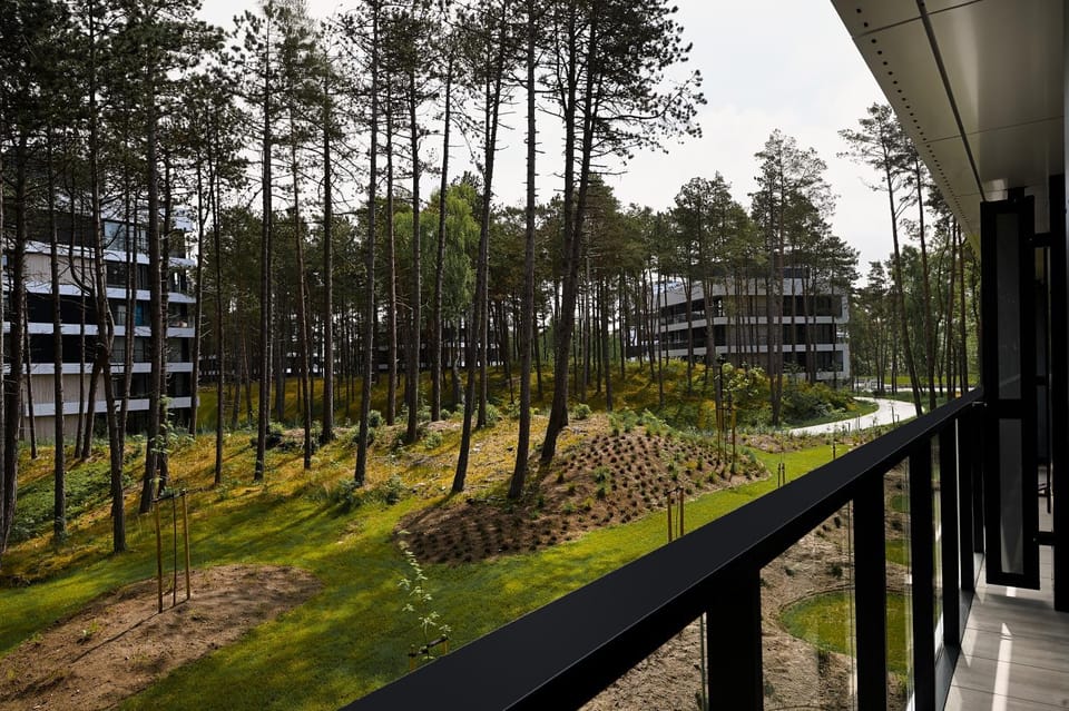 Property building, Natural landscape, Garden view