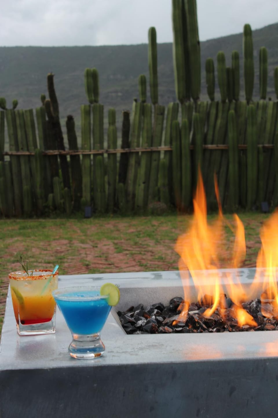Lounge or bar
