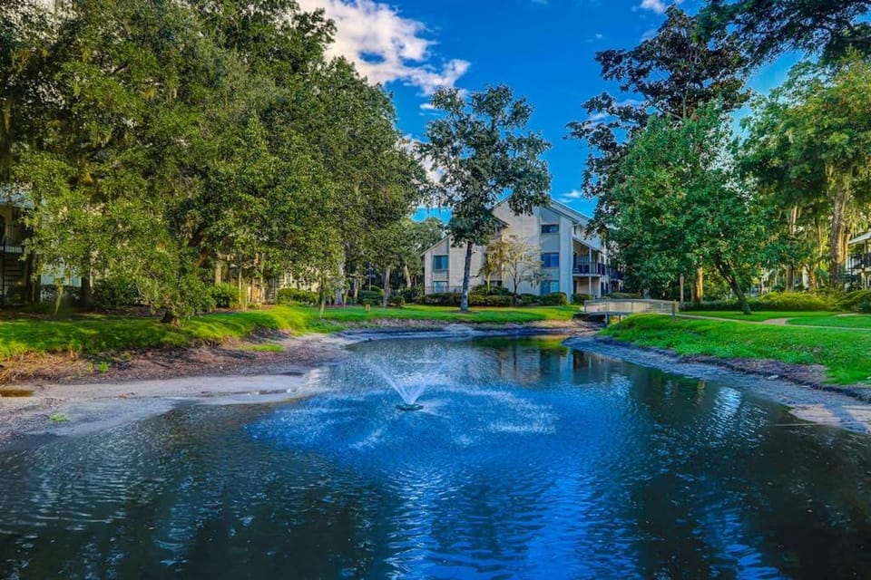 Springwood Villas 45 House in Hilton Head Island