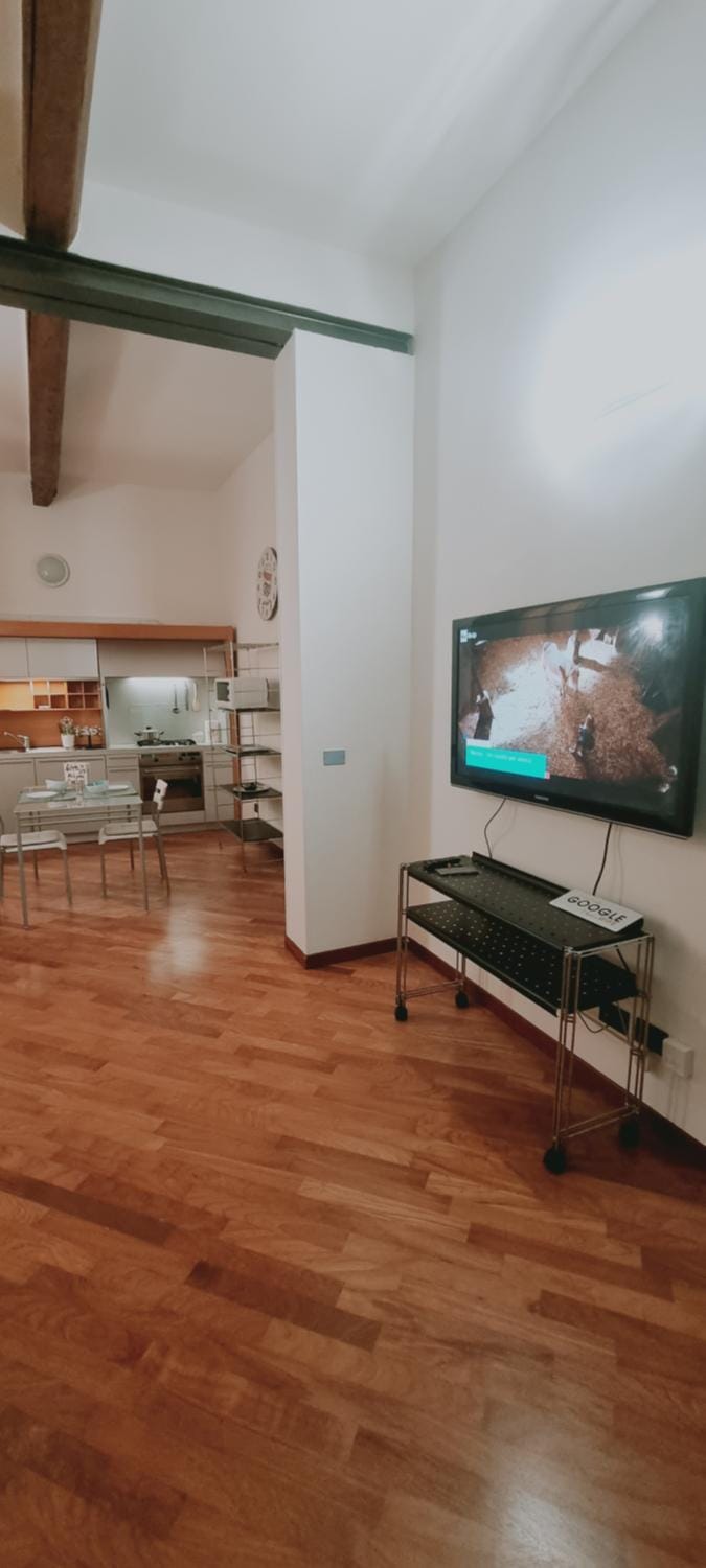 TV and multimedia