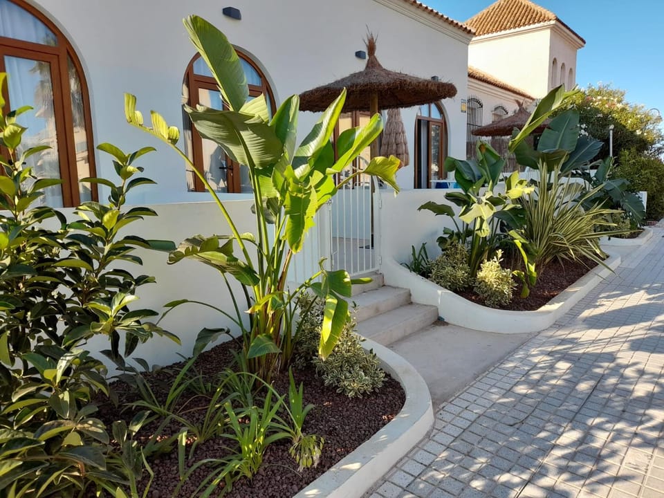Garden view