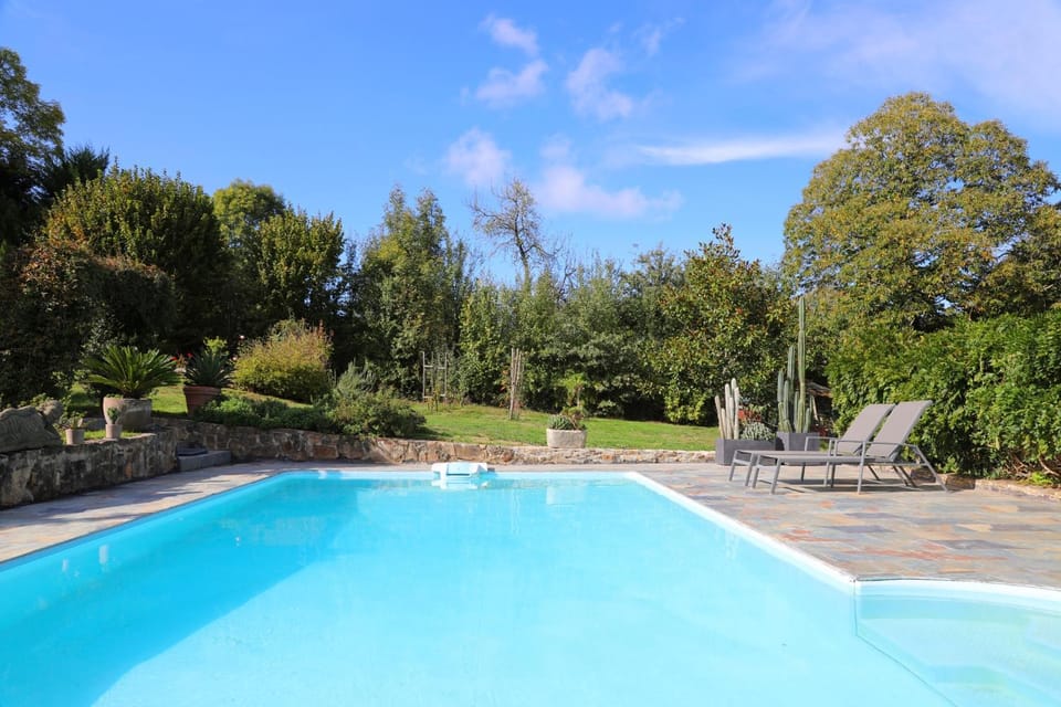 Garden, Garden view, Pool view, Swimming pool, sunbed