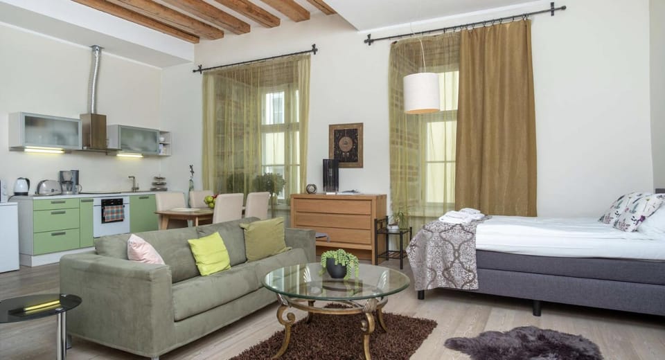 Bed, Kitchen or kitchenette, Living room, Seating area, Bedroom
