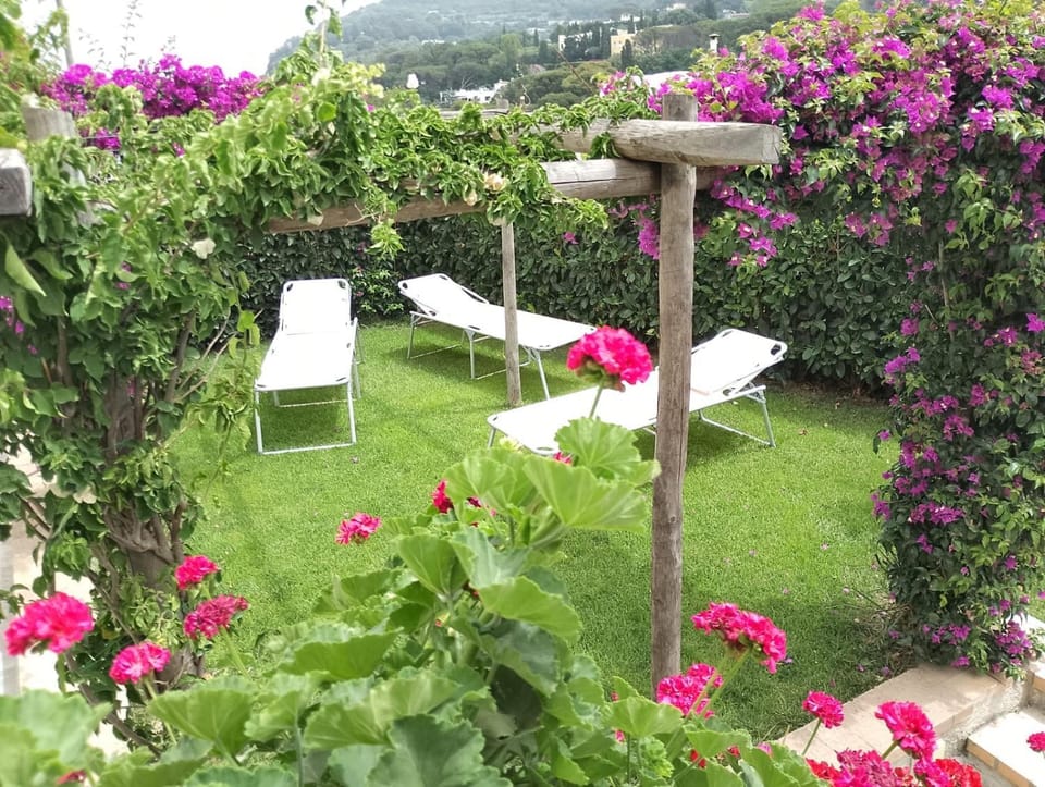 La Mouette di Nico Villa in Capri