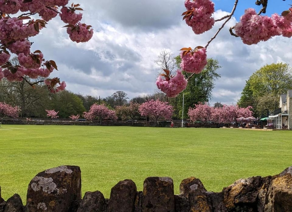 Spring, Day, Natural landscape