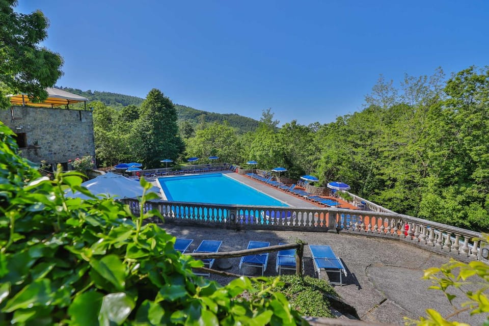 Day, Pool view, Swimming pool, sunbed