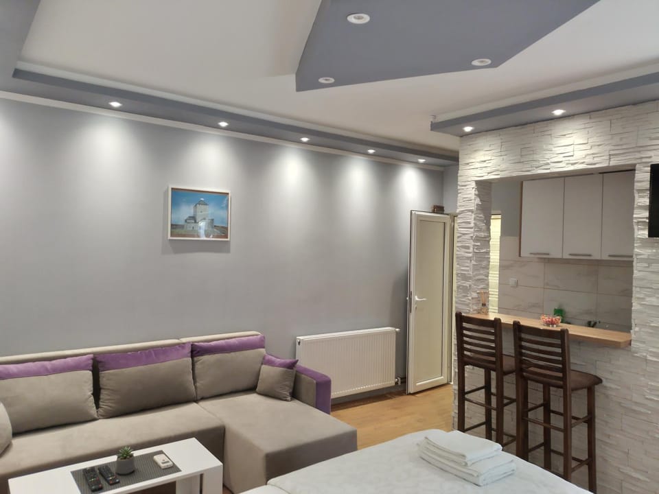 Čavić apartmani Apartment in Vojvodina