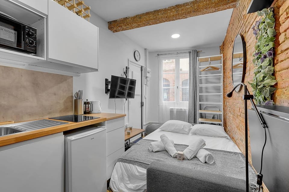 Getaway For 2 Beautiful Studio Near The Garonne Apartment in Toulouse