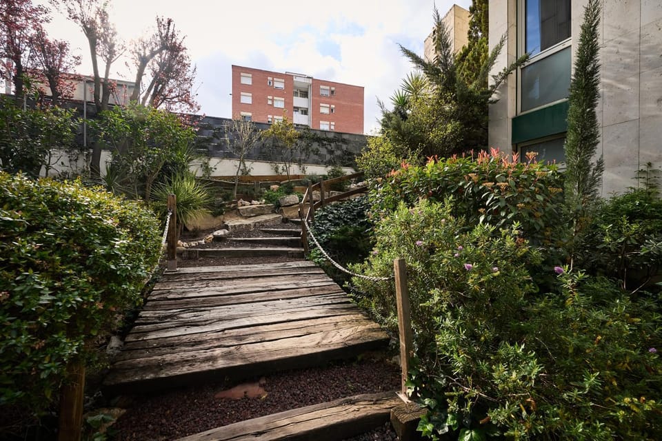 Patio, Garden