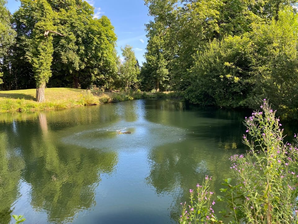 Natural landscape, Lake view